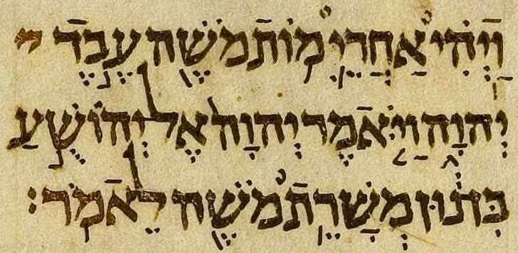 Cover image for Aleppo Codex