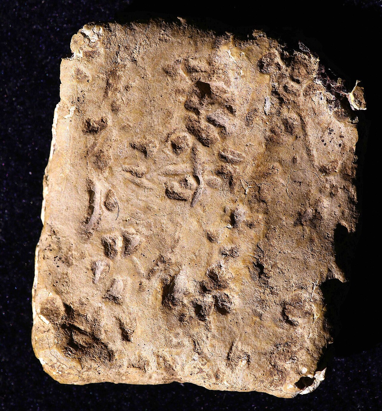 Cover image for Mount Ebal Curse Tablet