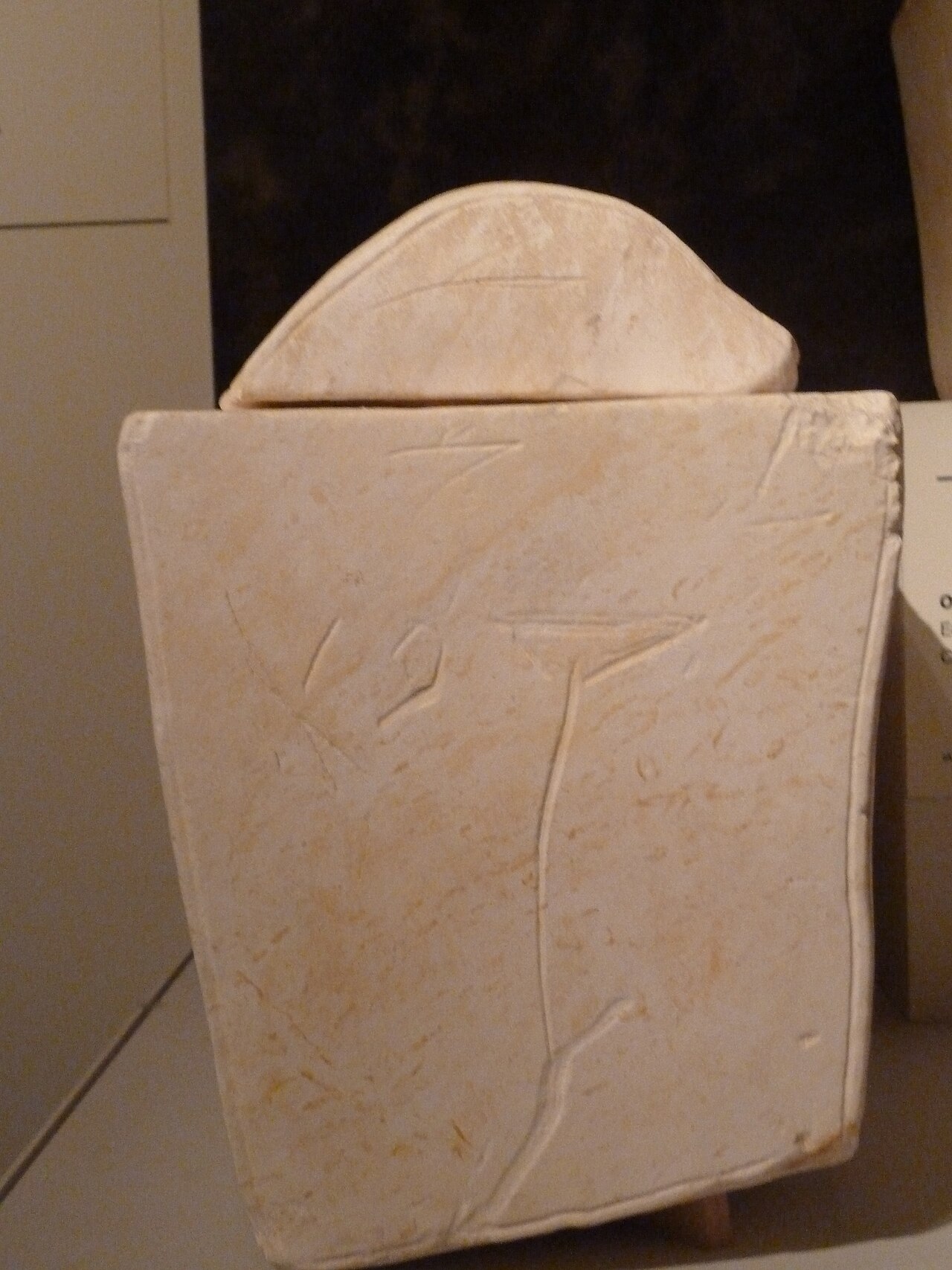 Cover image for Caiaphas Ossuary